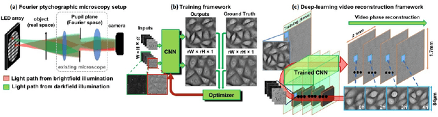Figure 1 for Deep learning approach to Fourier ptychographic microscopy