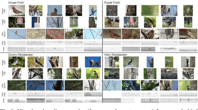 Figure 3 for Exploring Fine-Grained Audiovisual Categorization with the SSW60 Dataset