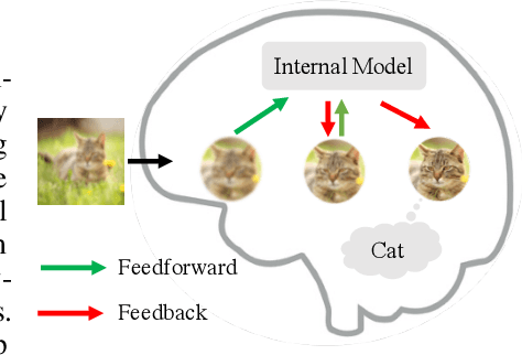 Figure 1 for Neural Networks with Recurrent Generative Feedback