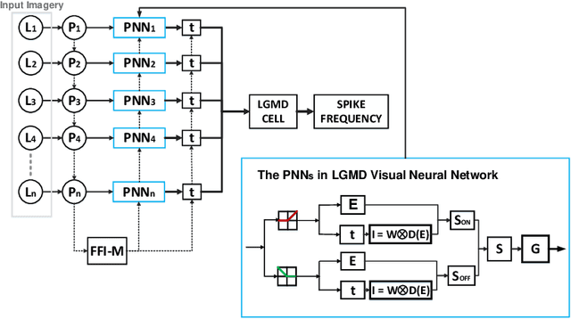 Figure 2 for A Visual Neural Network for Robust Collision Perception in Vehicle Driving Scenarios