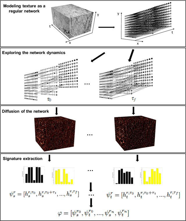 Figure 1 for Dynamic texture analysis with diffusion in networks