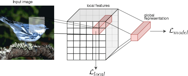 Figure 1 for Zero-Shot Learning from scratch (ZFS): leveraging local compositional representations