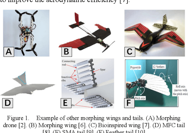 Figure 1 for A novel control mode of bionic morphing tail based on deep reinforcement learning