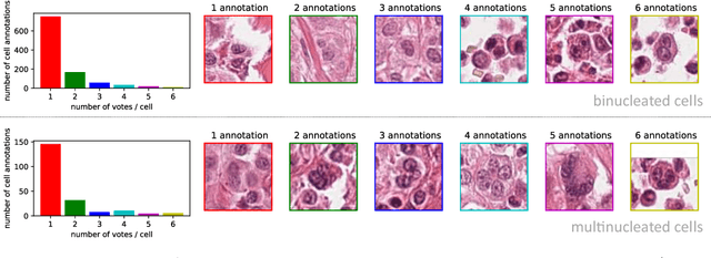 Figure 1 for Dataset on Bi- and Multi-Nucleated Tumor Cells in Canine Cutaneous Mast Cell Tumors