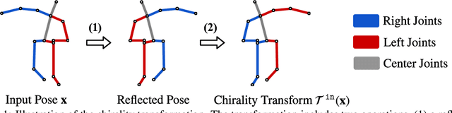 Figure 1 for Chirality Nets for Human Pose Regression