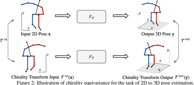 Figure 3 for Chirality Nets for Human Pose Regression