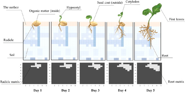 Figure 4 for A Plant Root System Algorithm Based on Swarm Intelligence for One-dimensional Biomedical Signal Feature Engineering