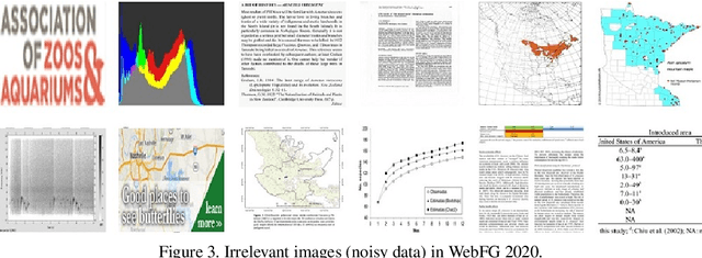 Figure 4 for Tips and Tricks for Webly-Supervised Fine-Grained Recognition: Learning from the WebFG 2020 Challenge