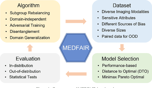 Figure 1 for MEDFAIR: Benchmarking Fairness for Medical Imaging