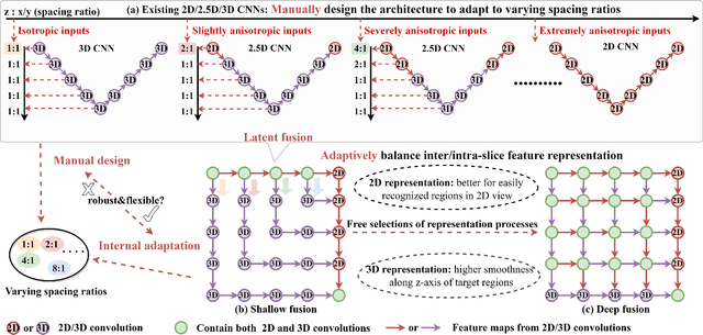 Figure 1 for MNet: Rethinking 2D/3D Networks for Anisotropic Medical Image Segmentation