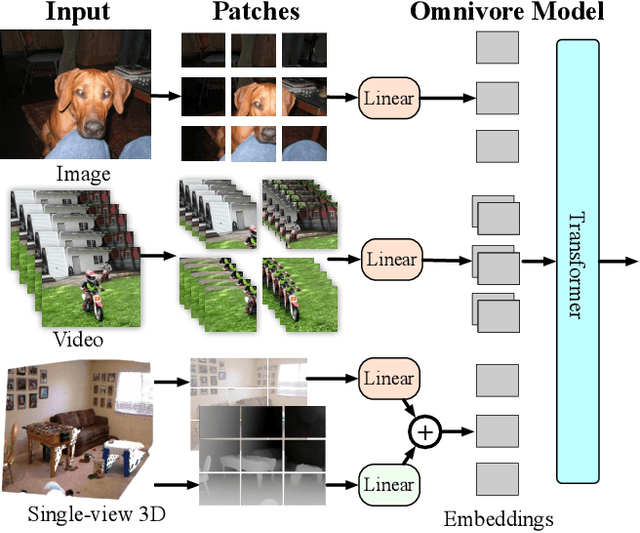 Figure 2 for Omnivore: A Single Model for Many Visual Modalities