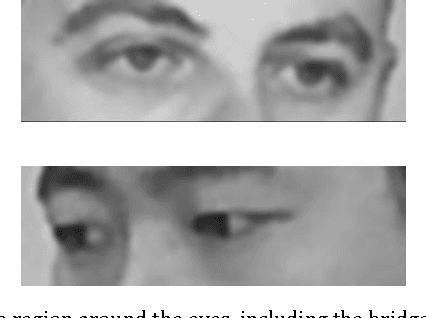Figure 3 for Measuring and modeling the perception of natural and unconstrained gaze in humans and machines