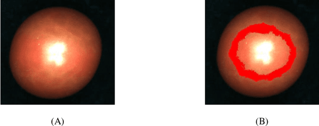 Figure 3 for Hyperspectral Imaging for cherry tomato