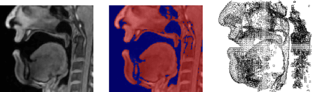 Figure 2 for A Multilinear Tongue Model Derived from Speech Related MRI Data of the Human Vocal Tract