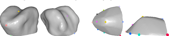 Figure 4 for A Multilinear Tongue Model Derived from Speech Related MRI Data of the Human Vocal Tract