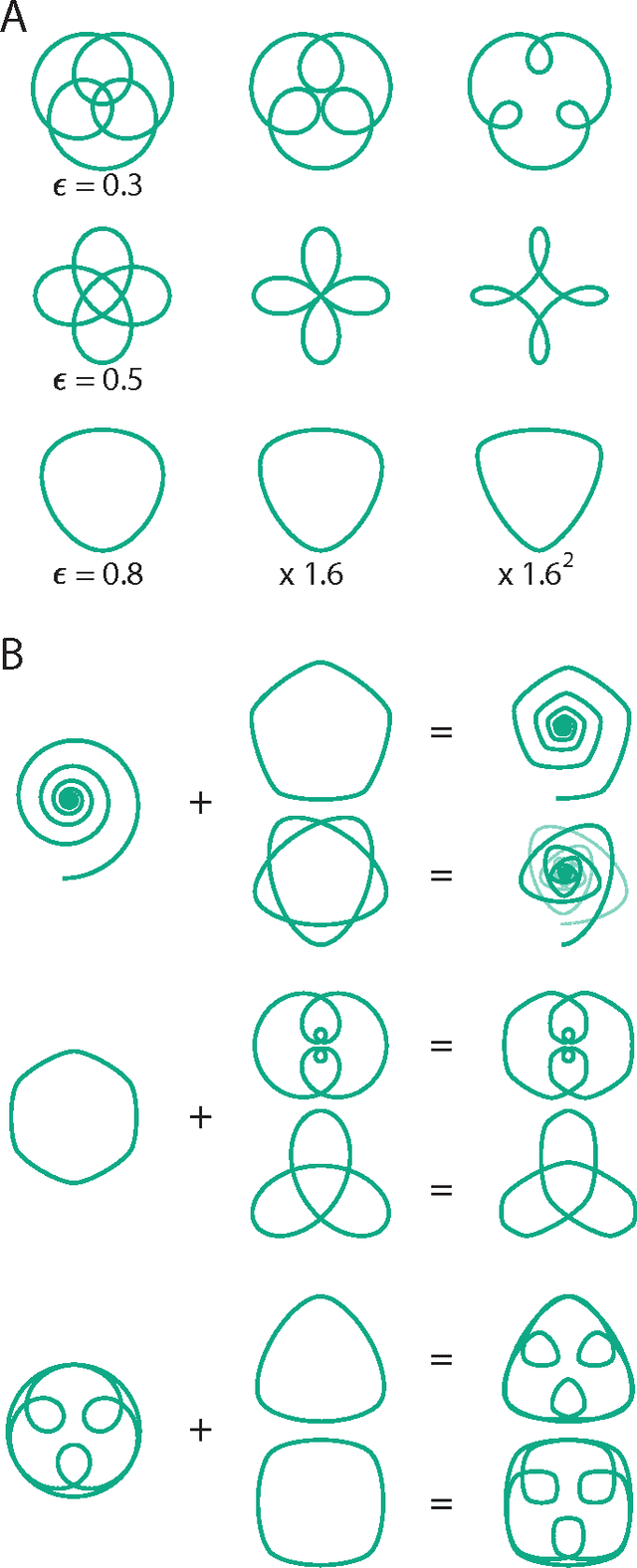 Figure 2 for The Vector Space of Convex Curves: How to Mix Shapes