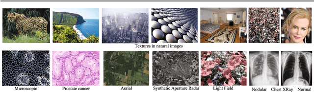 Figure 1 for From BoW to CNN: Two Decades of Texture Representation for Texture Classification