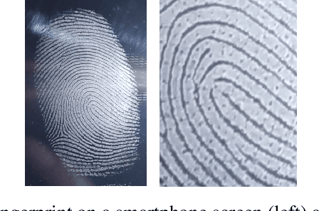 Figure 1 for Are spoofs from latent fingerprints a real threat for the best state-of-art liveness detectors?