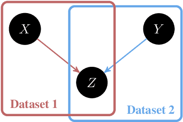 Figure 1 for Causal Inference Through the Structural Causal Marginal Problem