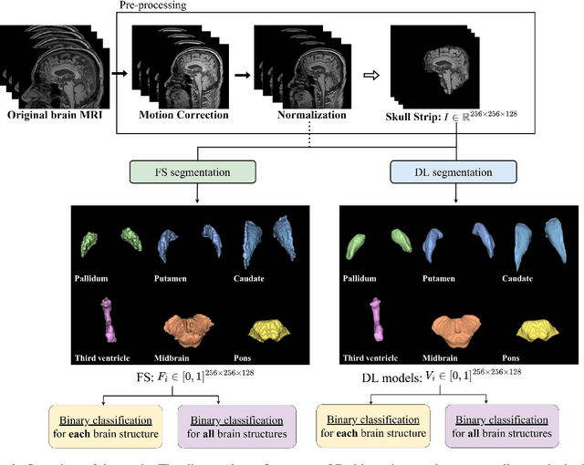 Figure 1 for Comparative Validation of AI and non-AI Methods in MRI Volumetry to Diagnose Parkinsonian Syndromes