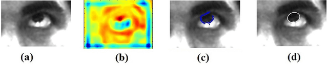 Figure 1 for Fast and Accurate Algorithm for Eye Localization for Gaze Tracking in Low Resolution Images