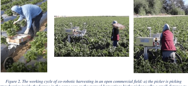 Figure 2 for Predictive Scheduling of Collaborative Mobile Robots for Improved Crop-transport Logistics of Manually Harvested Crops