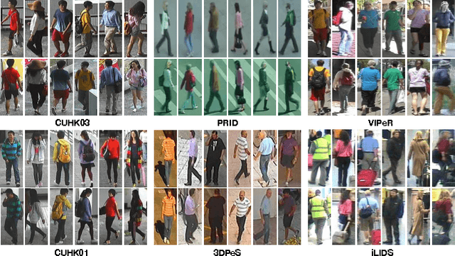 Figure 1 for Learning Deep Feature Representations with Domain Guided Dropout for Person Re-identification
