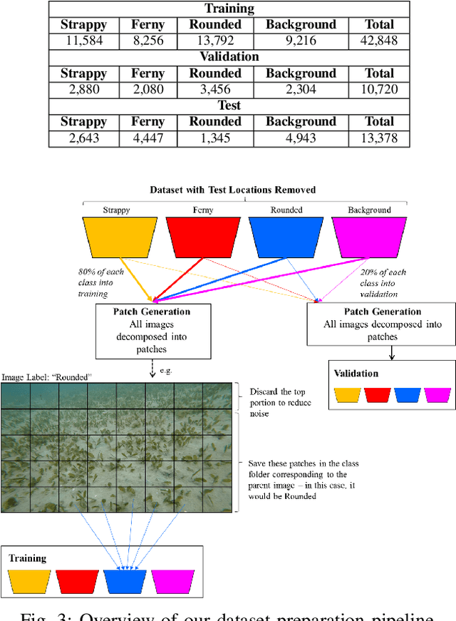 Figure 3 for Multi-species Seagrass Detection and Classification from Underwater Images