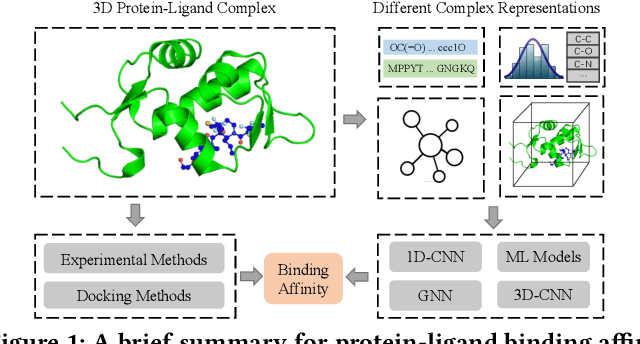 Figure 1 for Structure-aware Interactive Graph Neural Networks for the Prediction of Protein-Ligand Binding Affinity
