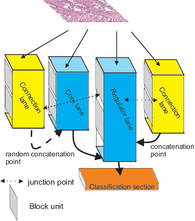 Figure 1 for Plexus Convolutional Neural Network (PlexusNet): A novel neural network architecture for histologic image analysis