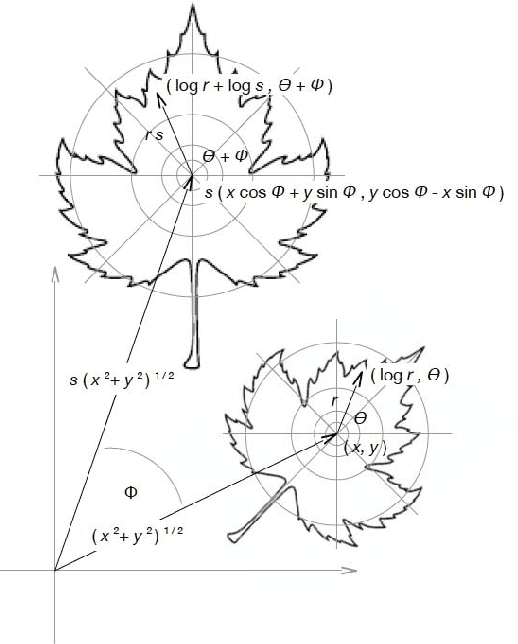 Figure 3 for Euclidean Invariant Recognition of 2D Shapes Using Histograms of Magnitudes of Local Fourier-Mellin Descriptors