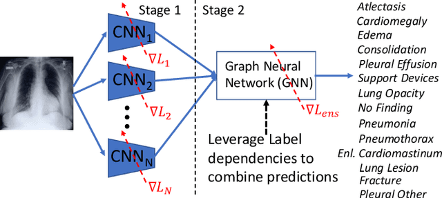 Figure 1 for Learning Decision Ensemble using a Graph Neural Network for Comorbidity Aware Chest Radiograph Screening