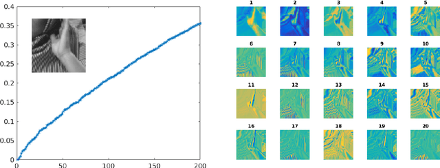 Figure 4 for A Tale of Two Bases: Local-Nonlocal Regularization on Image Patches with Convolution Framelets