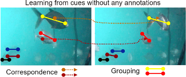 Figure 1 for Transformer-based Self-Supervised Fish Segmentation in Underwater Videos