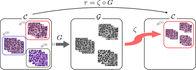 Figure 3 for Neural Stain-Style Transfer Learning using GAN for Histopathological Images