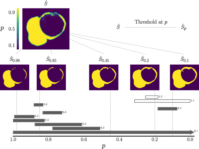 Figure 1 for A persistent homology-based topological loss function for multi-class CNN segmentation of cardiac MRI