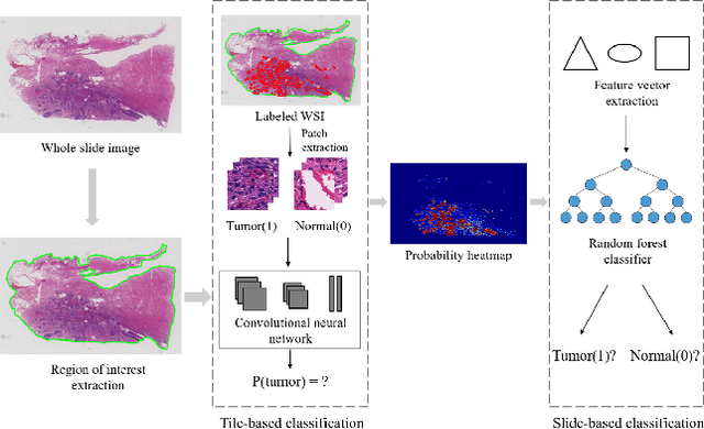 Figure 1 for Computer-aided Detection of Squamous Carcinoma of the Cervix in Whole Slide Images