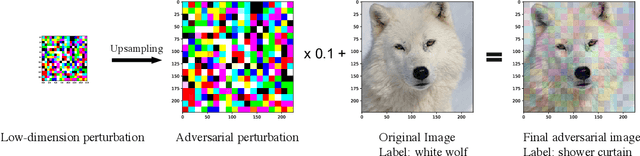Figure 2 for Hard Label Black-box Adversarial Attacks in Low Query Budget Regimes