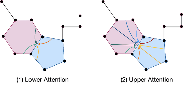 Figure 3 for Cell Attention Networks