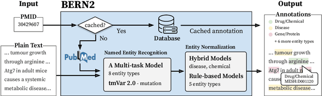 Figure 1 for BERN2: an advanced neural biomedical named entity recognition and normalization tool