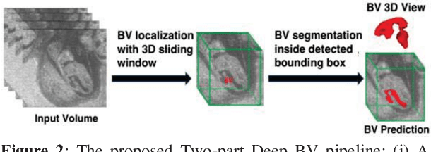 Figure 3 for Deep BV: A Fully Automated System for Brain Ventricle Localization and Segmentation in 3D Ultrasound Images of Embryonic Mice