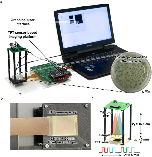 Figure 1 for Deep Learning-enabled Detection and Classification of Bacterial Colonies using a Thin Film Transistor (TFT) Image Sensor