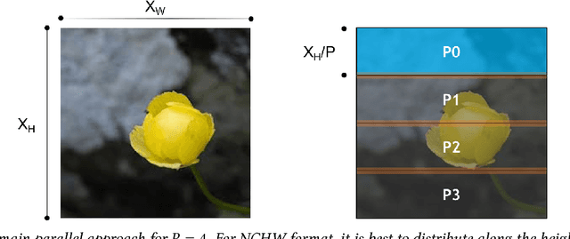 Figure 4 for Integrated Model, Batch and Domain Parallelism in Training Neural Networks