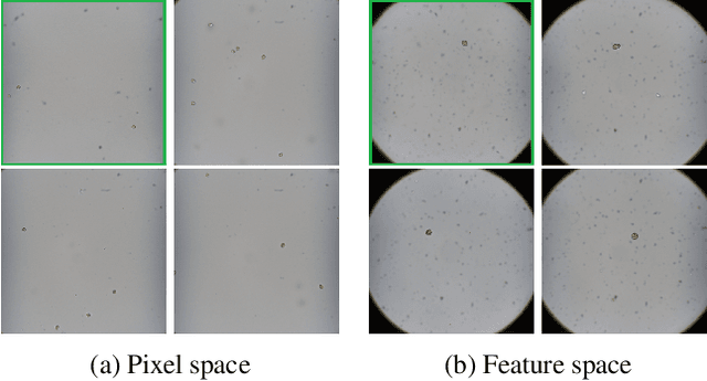 Figure 4 for Towards Generating Large Synthetic Phytoplankton Datasets for Efficient Monitoring of Harmful Algal Blooms