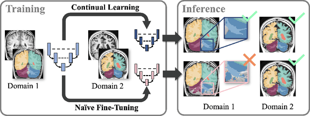 Figure 1 for Importance Driven Continual Learning for Segmentation Across Domains