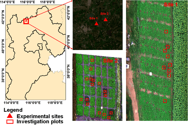 Figure 1 for A Novel CropdocNet for Automated Potato Late Blight Disease Detection from the Unmanned Aerial Vehicle-based Hyperspectral Imagery