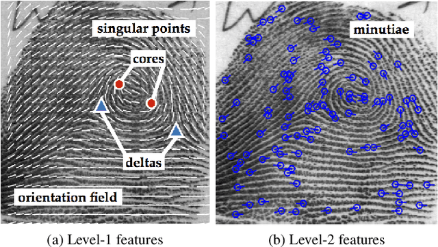 Figure 1 for Fingerprints: Fixed Length Representation via Deep Networks and Domain Knowledge