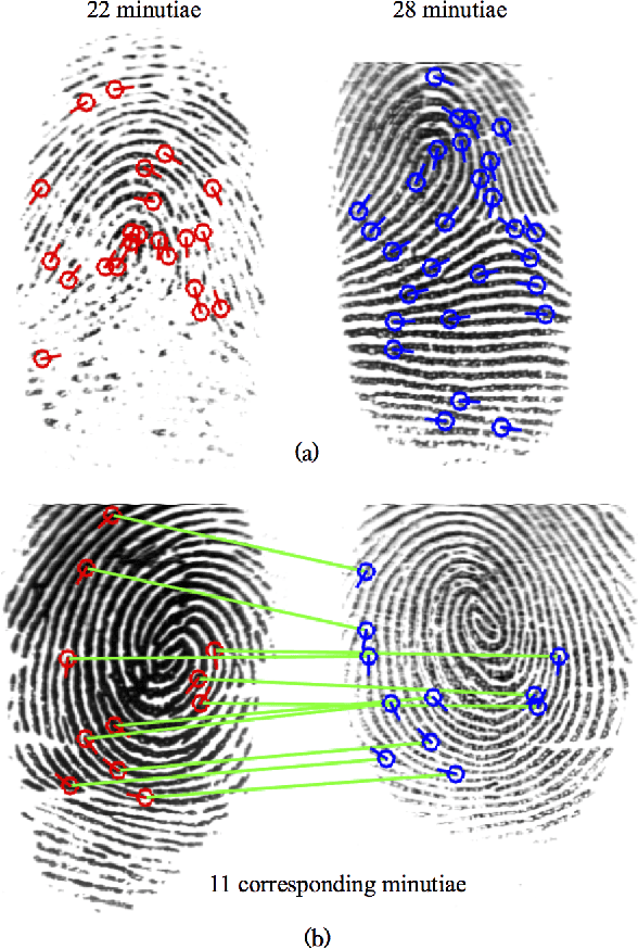 Figure 3 for Fingerprints: Fixed Length Representation via Deep Networks and Domain Knowledge