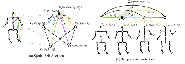 Figure 2 for Spatial Temporal Transformer Network for Skeleton-based Action Recognition