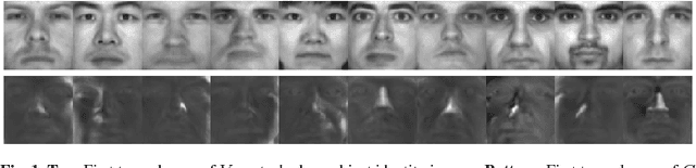 Figure 1 for Sparse Illumination Learning and Transfer for Single-Sample Face Recognition with Image Corruption and Misalignment